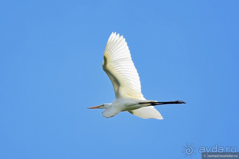 Bolivia te espera! Часть 7