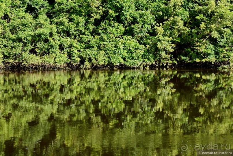 Bolivia te espera! Часть 7