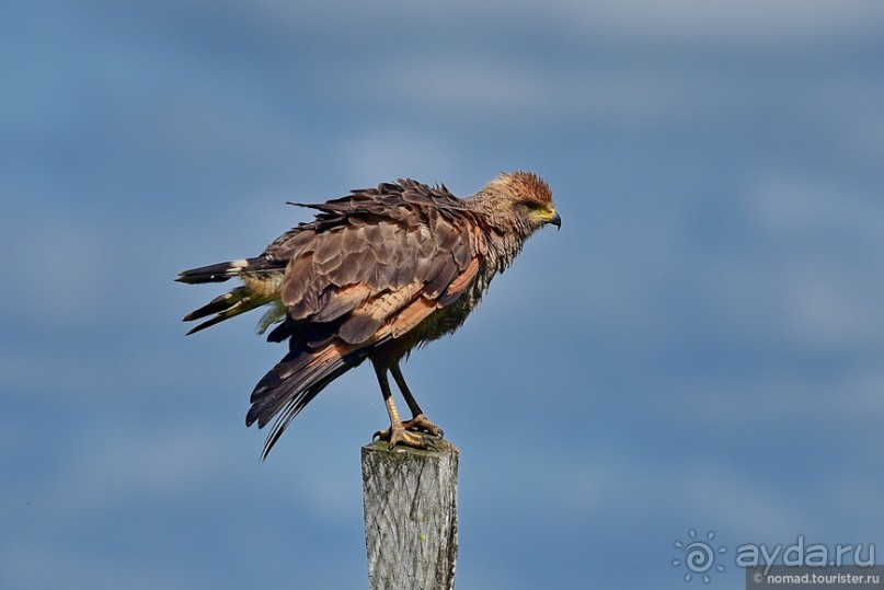 Bolivia te espera! Часть 7