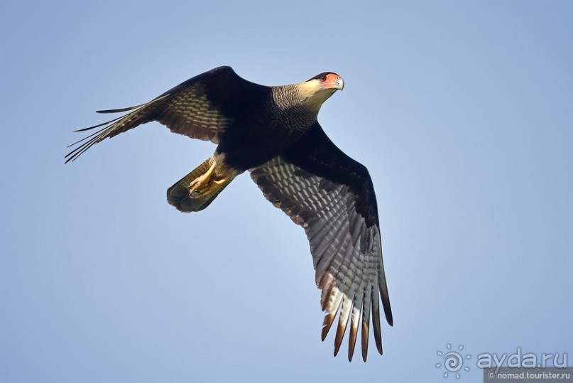 Bolivia te espera! Часть 7