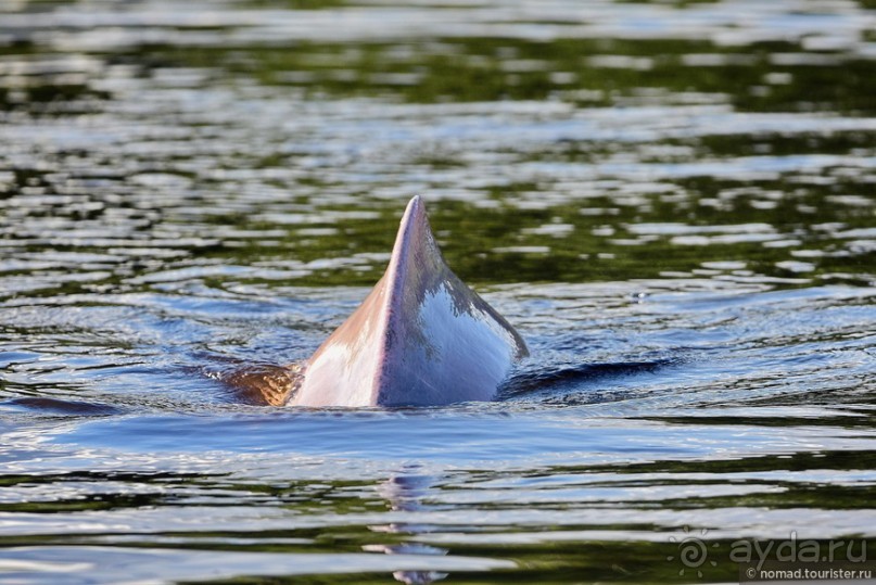 Bolivia te espera! Часть 7
