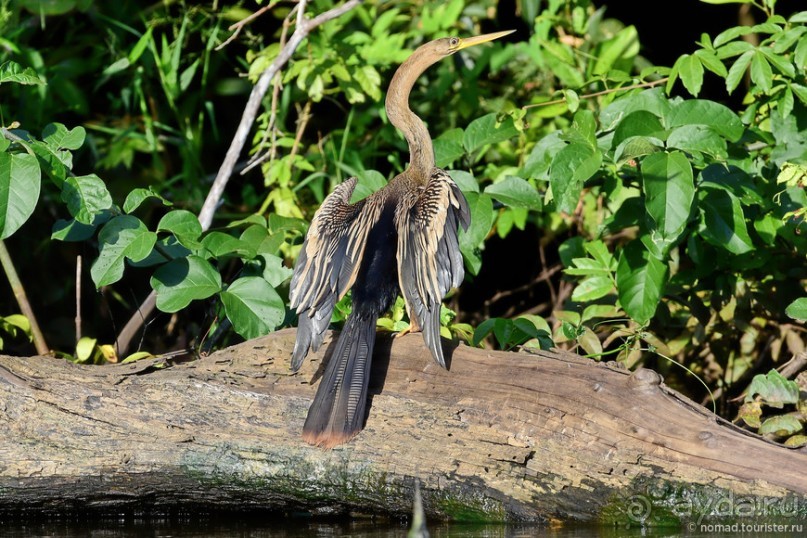 Bolivia te espera! Часть 7