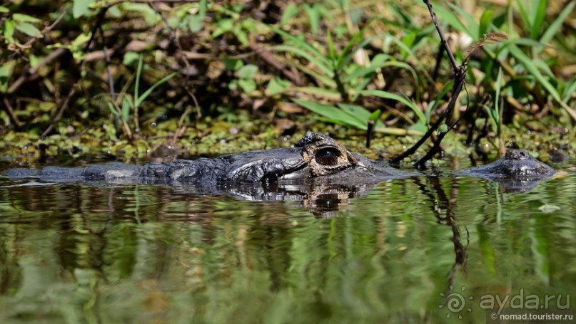 Bolivia te espera! Часть 7