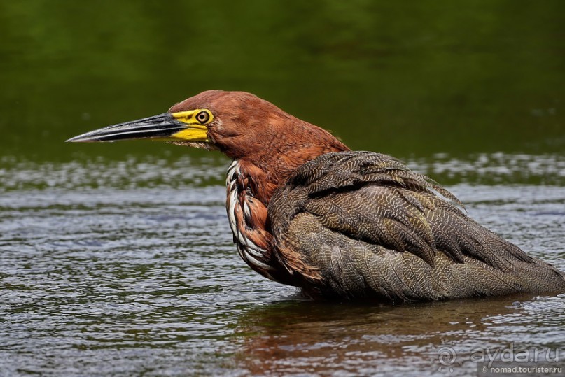 Bolivia te espera! Часть 7