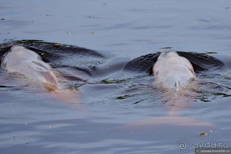 Bolivia te espera! Часть 7