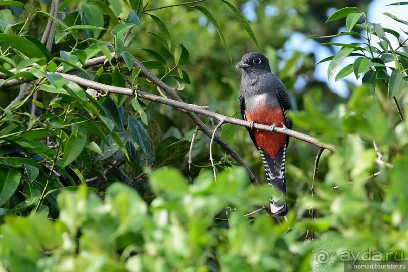 Bolivia te espera! Часть 7