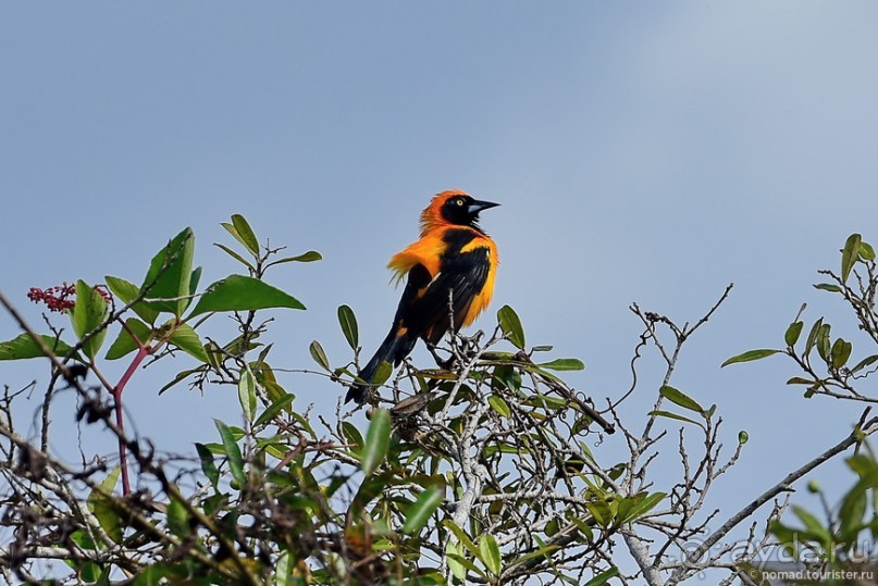 Bolivia te espera! Часть 7