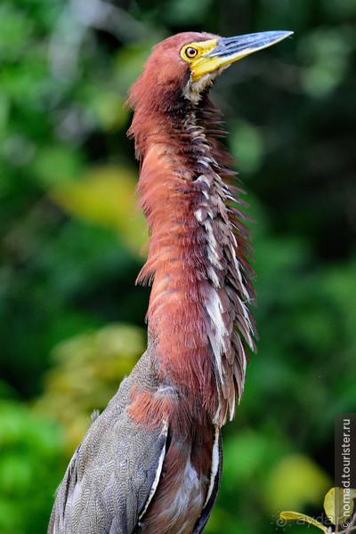 Bolivia te espera! Часть 7