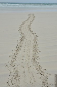 Американские горки (декабрь 2012-январь 2013). Часть 7