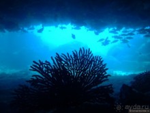 Американские горки (декабрь 2012-январь 2013). Часть 7