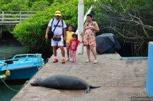 Американские горки (декабрь 2012-январь 2013). Часть 7