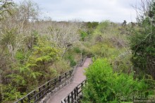 Американские горки (декабрь 2012-январь 2013). Часть 7