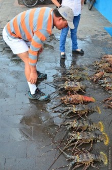 Американские горки (декабрь 2012-январь 2013). Часть 7