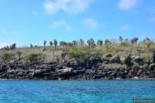 Американские горки (декабрь 2012-январь 2013). Часть 7