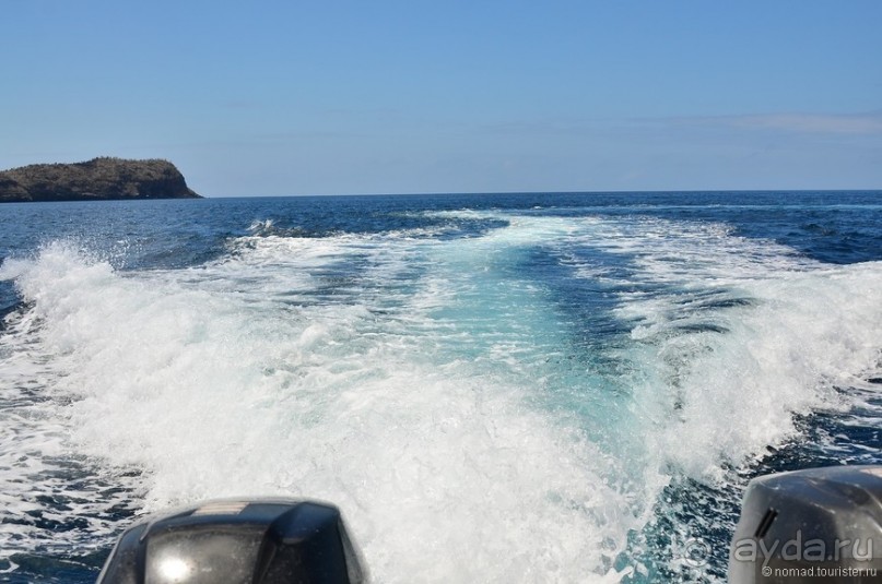 Американские горки (декабрь 2012-январь 2013). Часть 7