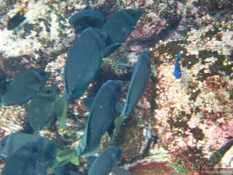 Американские горки (декабрь 2012-январь 2013). Часть 7