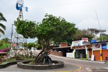 Американские горки (декабрь 2012-январь 2013). Часть 7