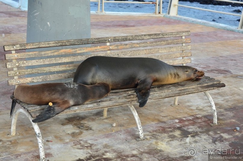 Американские горки (декабрь 2012-январь 2013). Часть 7