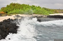 Американские горки (декабрь 2012-январь 2013). Часть 7