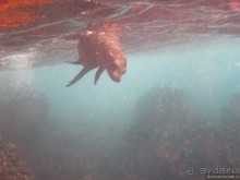 Американские горки (декабрь 2012-январь 2013). Часть 7