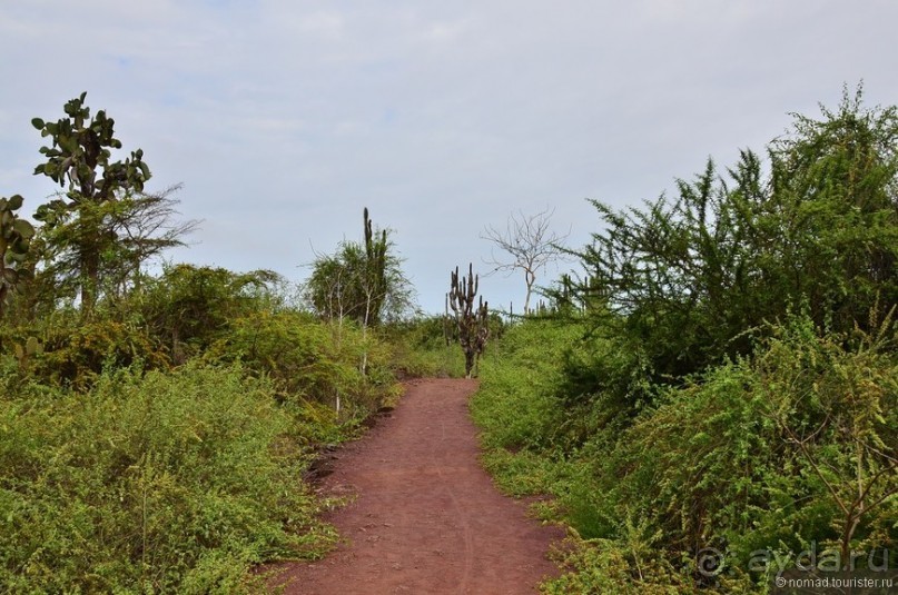 Американские горки (декабрь 2012-январь 2013). Часть 7