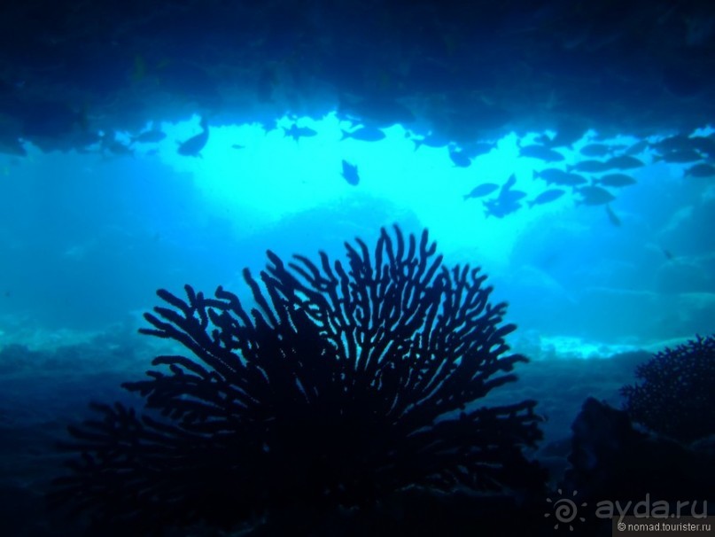 Американские горки (декабрь 2012-январь 2013). Часть 7