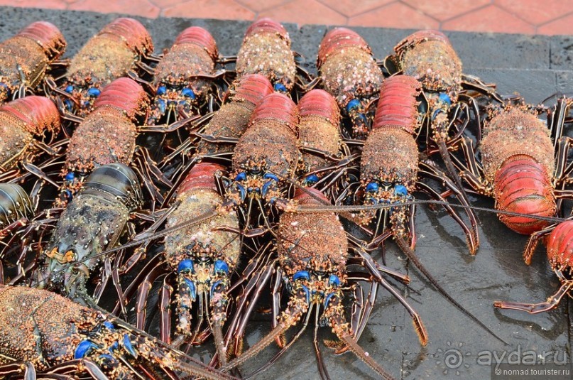 Американские горки (декабрь 2012-январь 2013). Часть 7