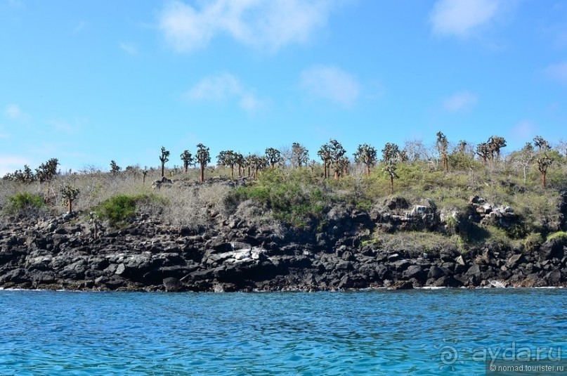 Американские горки (декабрь 2012-январь 2013). Часть 7