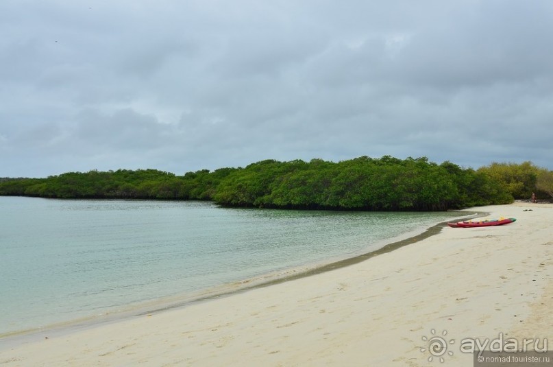 Американские горки (декабрь 2012-январь 2013). Часть 7