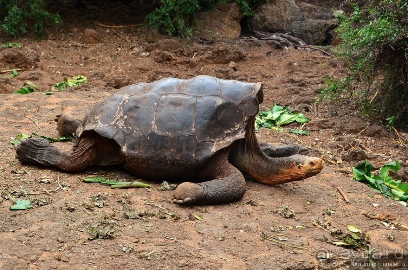 Американские горки (декабрь 2012-январь 2013). Часть 7