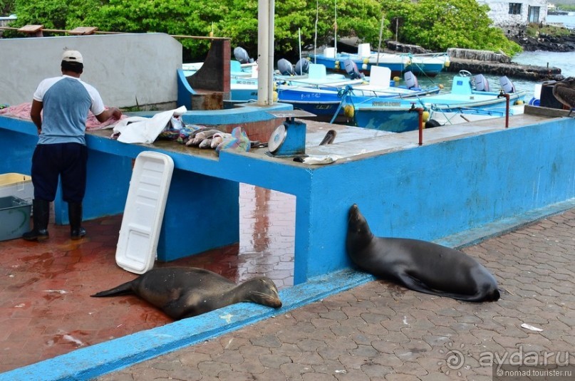 Американские горки (декабрь 2012-январь 2013). Часть 7