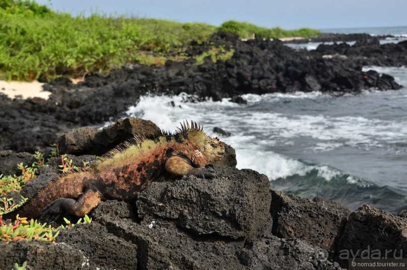 Американские горки (декабрь 2012-январь 2013). Часть 7