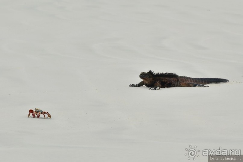 Американские горки (декабрь 2012-январь 2013). Часть 7