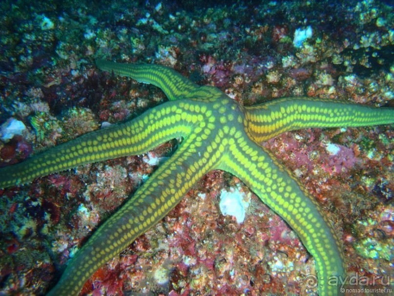 Американские горки (декабрь 2012-январь 2013). Часть 7