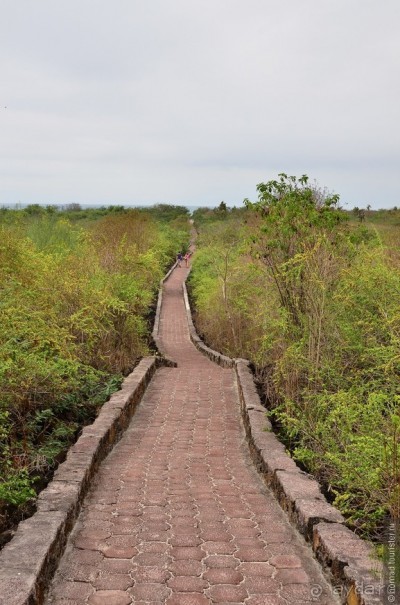 Американские горки (декабрь 2012-январь 2013). Часть 7