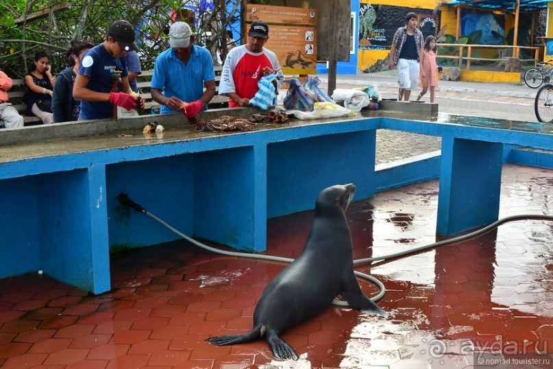 Американские горки (декабрь 2012-январь 2013). Часть 7