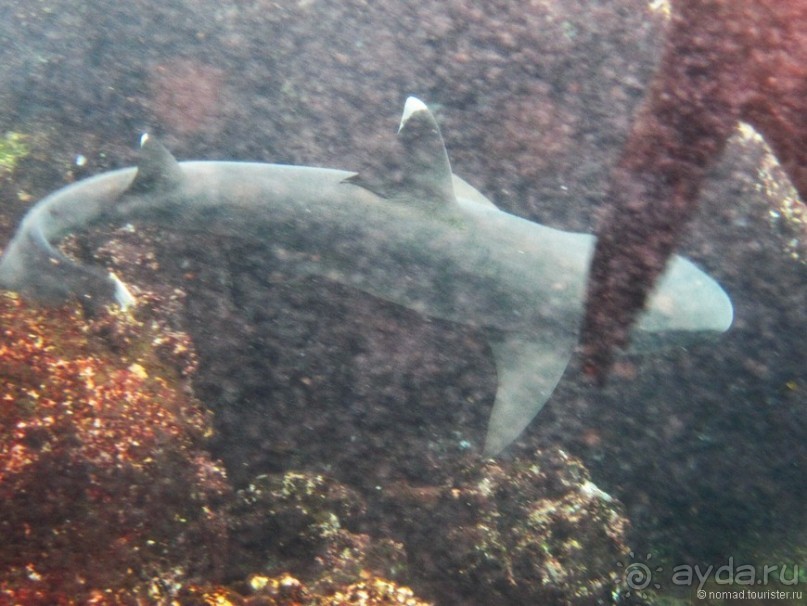Американские горки (декабрь 2012-январь 2013). Часть 7