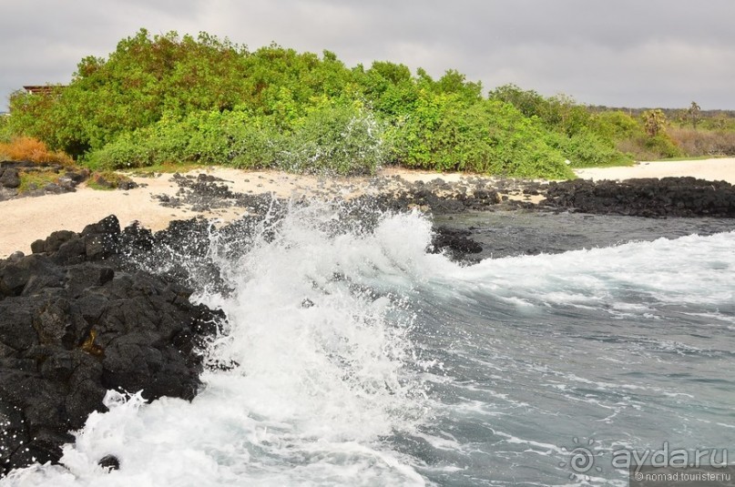 Американские горки (декабрь 2012-январь 2013). Часть 7