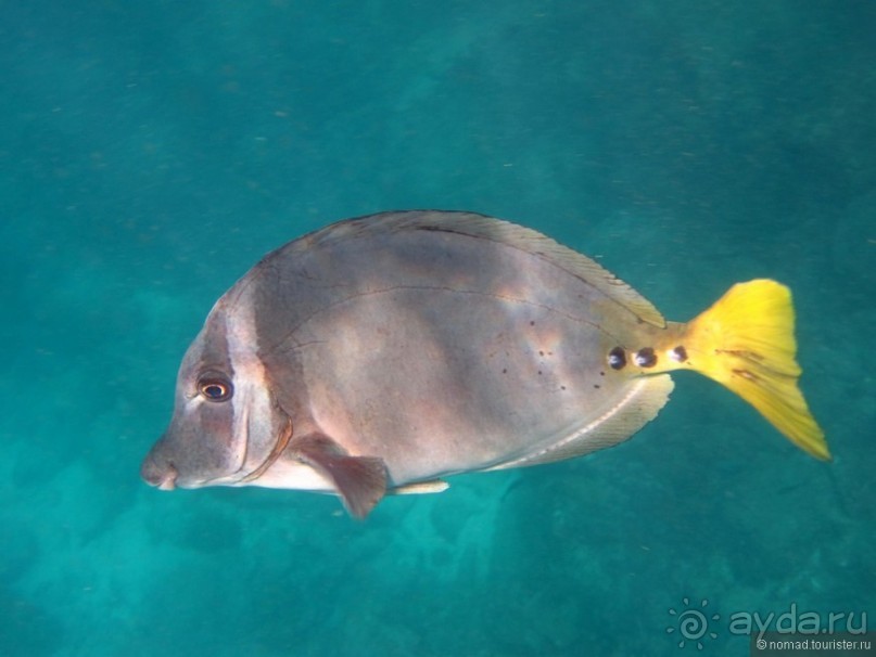 Американские горки (декабрь 2012-январь 2013). Часть 7