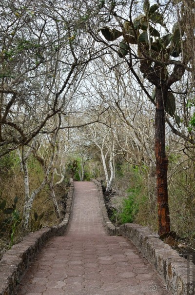 Американские горки (декабрь 2012-январь 2013). Часть 7