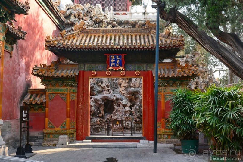 Запретное сердце Пекина