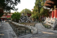 Запретное сердце Пекина