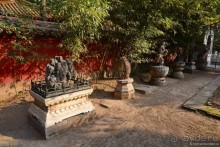 Запретное сердце Пекина