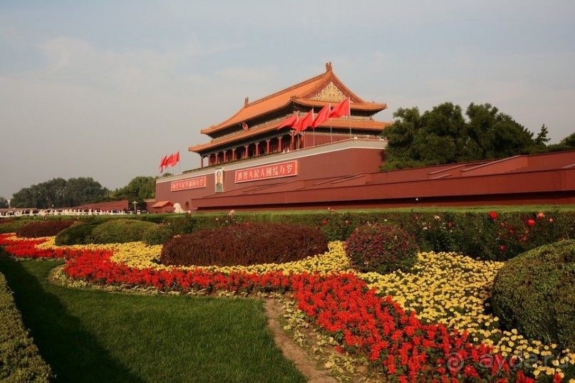 Запретное сердце Пекина