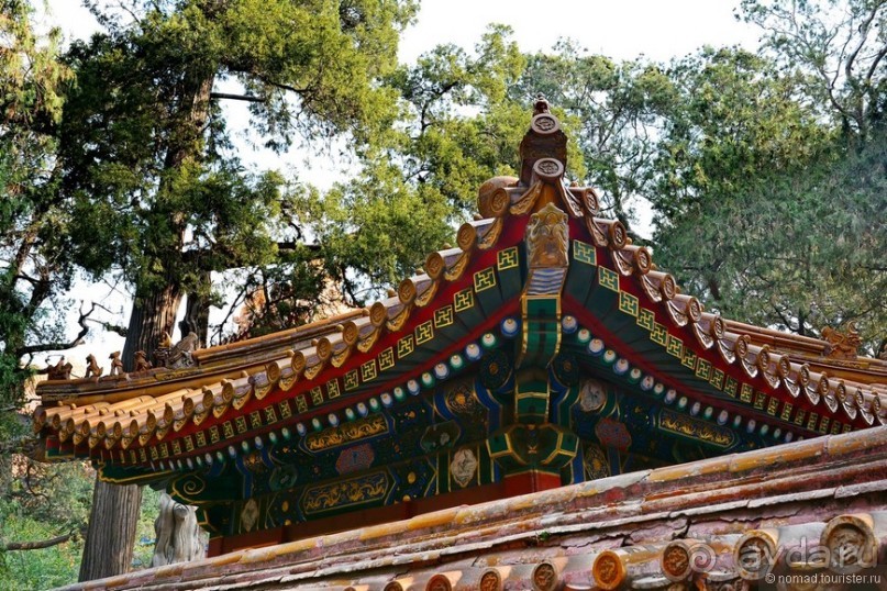 Запретное сердце Пекина