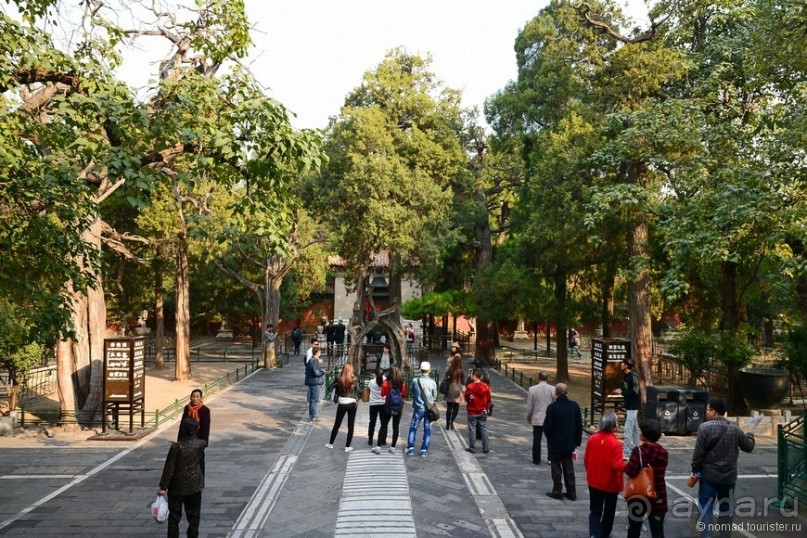 Запретное сердце Пекина