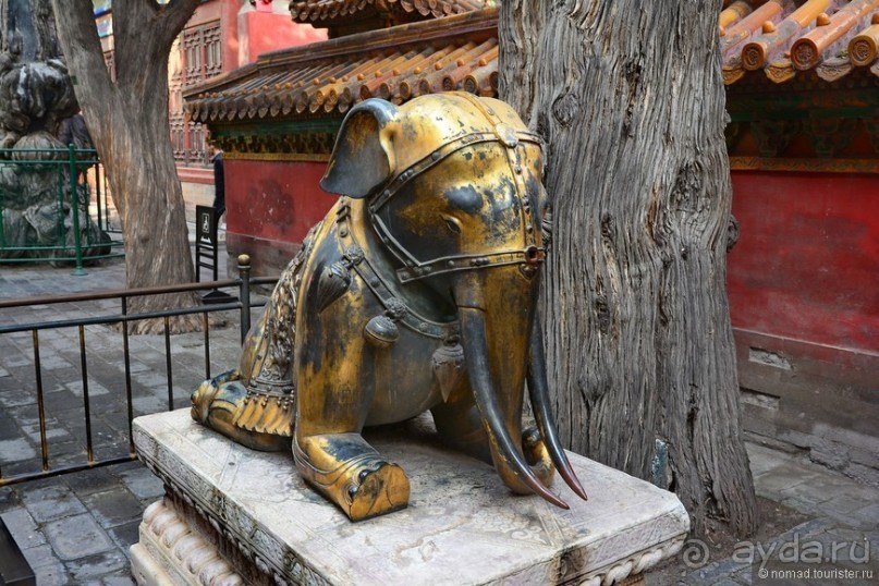 Запретное сердце Пекина