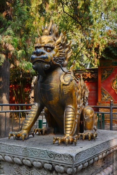 Запретное сердце Пекина