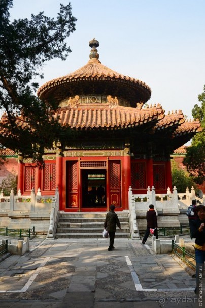 Запретное сердце Пекина