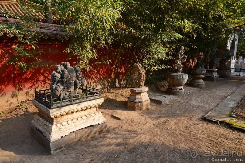 Запретное сердце Пекина